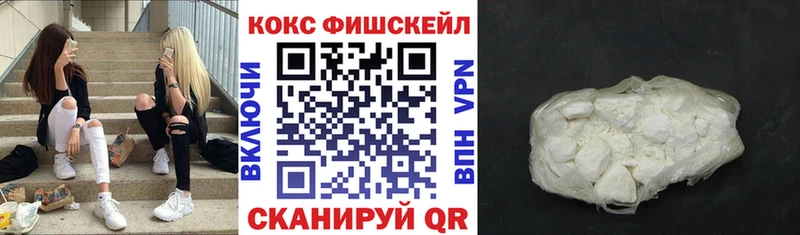 Кокаин FishScale  blacksprut как зайти  Щёкино 