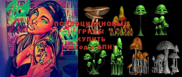винт Надым