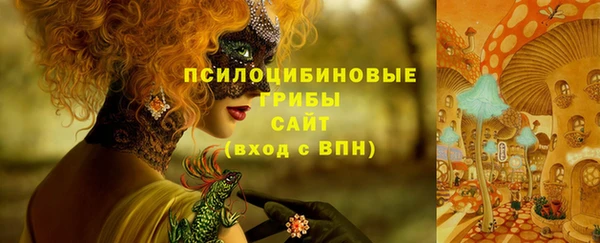 винт Надым