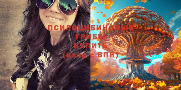 СК Навашино