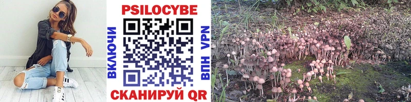 Галлюциногенные грибы мухоморы  Щёкино 